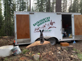 Dog and Dutch Oven trailer
